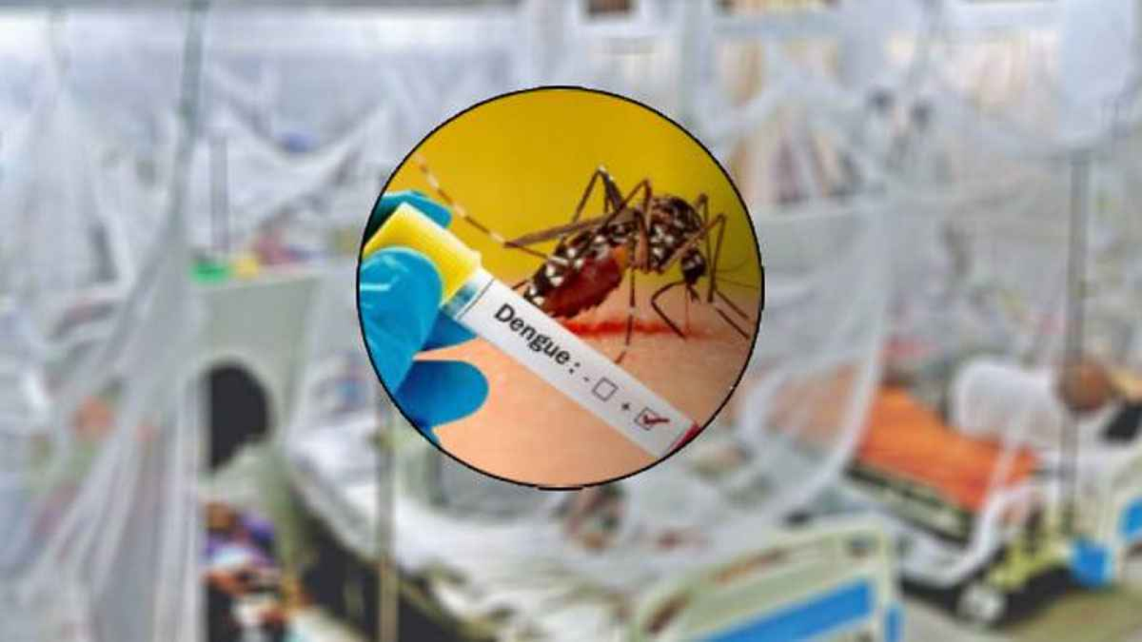 এবার ডেঙ্গুতে কেঁড়ে নিল বরিশালে দুই জনের প্রাণ