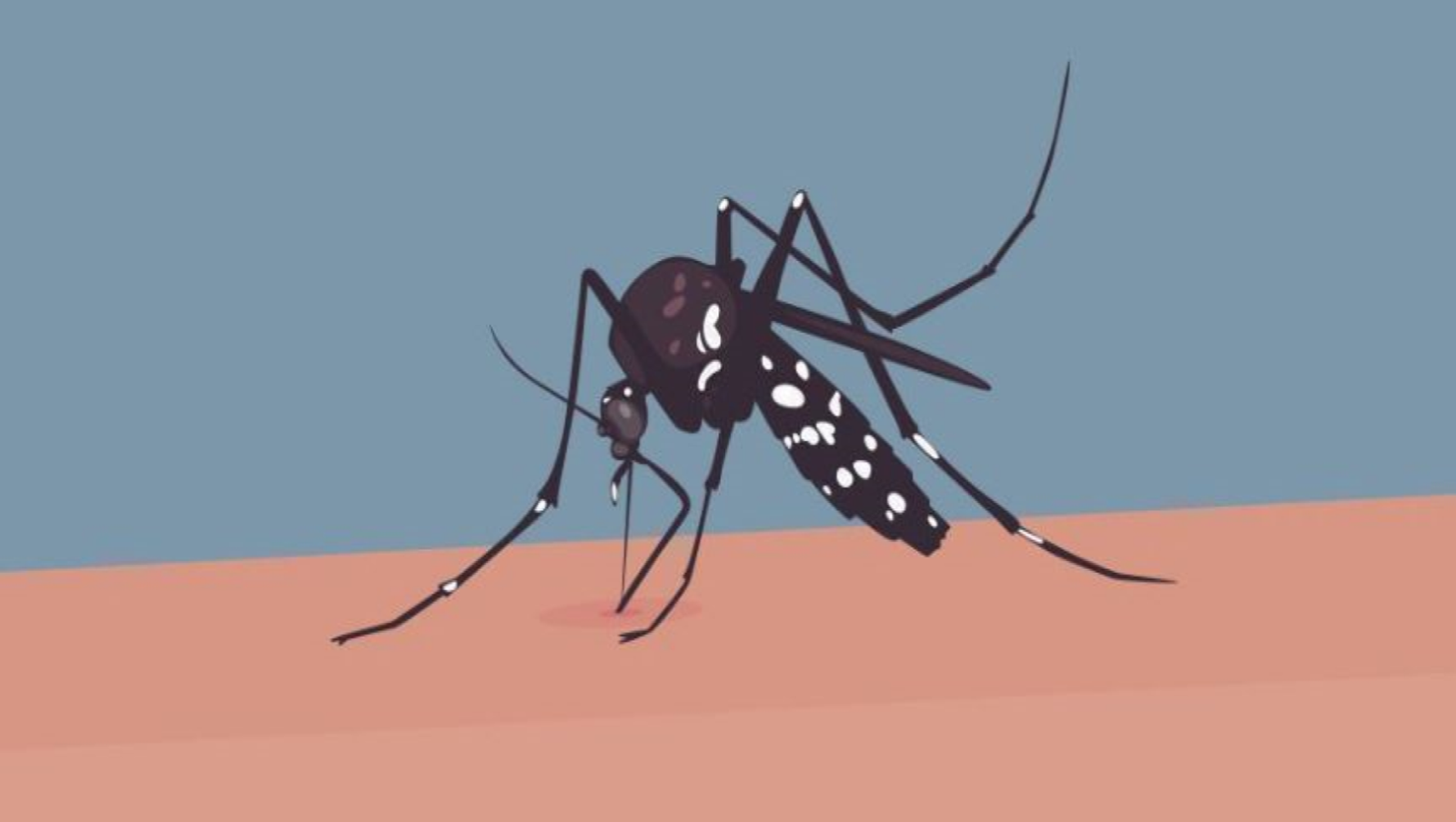 ডেঙ্গুতে প্রাণ কেঁড়ে নিলো আরও ২ জনের