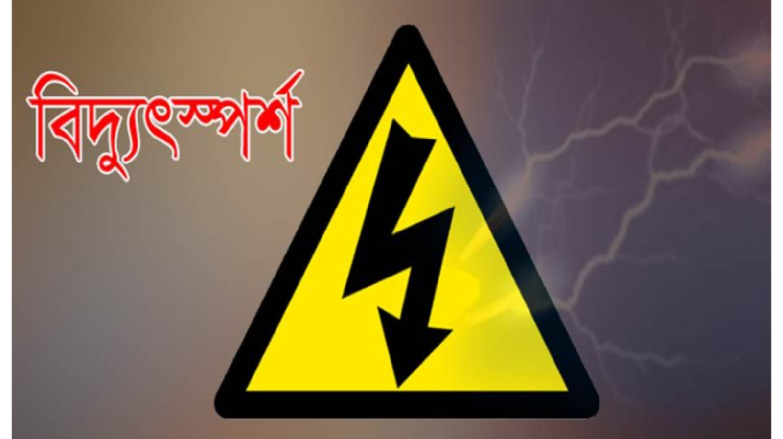 কৃষকের বৈদ্যুতিক ফাঁদে নিহত দুই স্কুলছাত্র