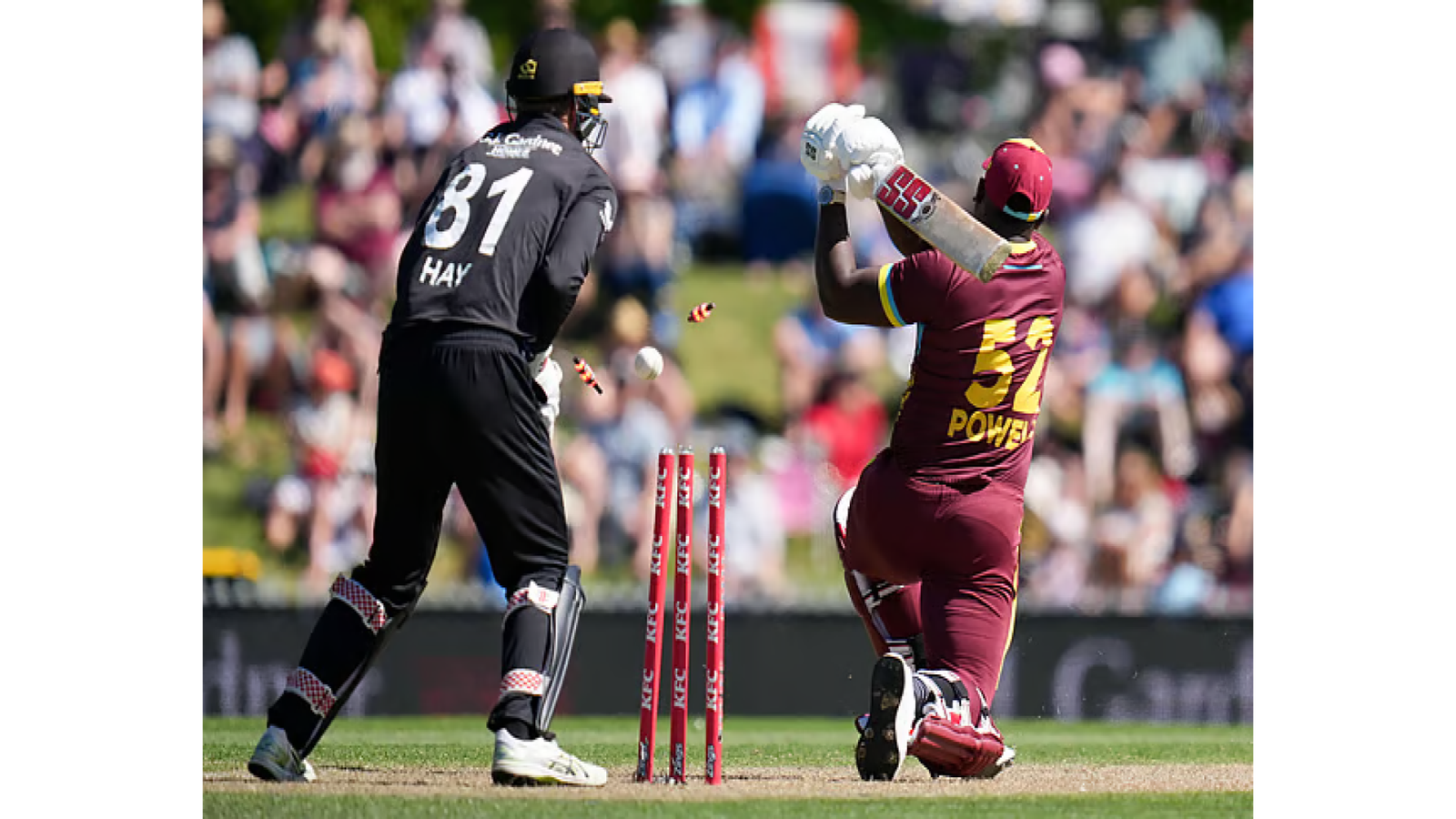 রেকর্ড পার্টনারশিপেও লাভ হলো না, নিউজিল্যান্ডের কাছে হারে ওয়েস্ট ইন্ডিজ